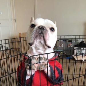 Meet your Posher, Ma min